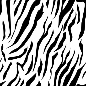 Full Seamless Zebra Tiger Stripes Animal Skin Pattern in Vector Black And White