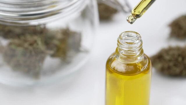 CBD oil dripping from dropper with cannabis flowers on the side in white laboratory setting for research and inspection for medicinal and recreational properties
