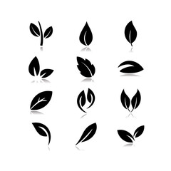 Fototapeta premium Leaf of a plant icon set with shadow effect.