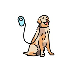 Golder retriever on a leash color line icon. Pictogram for web page