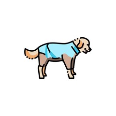 Golder retriever wearing raincoat color line icon. Pictogram for web page