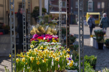 Selective focus, View of small yellow flowers on flower stall or floral shop is located in outdoor...