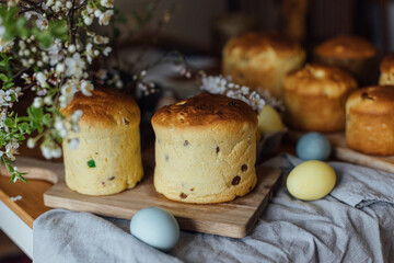 Freshly baked easter cakes, traditional ukrainian bun. Homemade easter breads, natural dyed eggs and spring blossom on rustic table in room. Happy Easter!