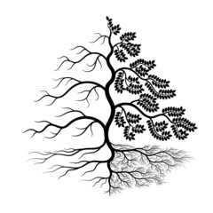 Illustration of a tree is half dead. Consists of roots, stems, branches and leaves. On white background.