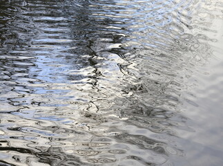 Rippled Water Surface with Reflection Pattern