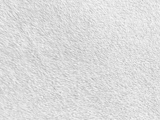 White clean wool texture background. light natural sheep wool. white seamless cotton. texture of...