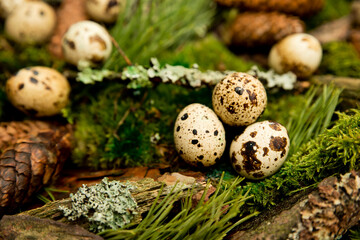 Obraz premium Easter. a Christian religious holiday. speckle mottle eggs. tradition to variegate with various colors and various techniques. biggest spring celebration.