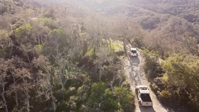 Vehicles driving on extreme off road track in forestry area, aerial view