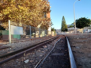 railway in the morning
