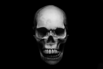 Artificial skull on a black background