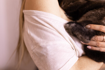 Obraz premium Close-up girl with adorable rabbit indoors, close up. Lovely pet and animal concept
