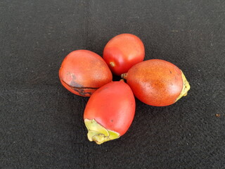 Fruits of Cyrtostachys renda, also known by the common names red sealing wax palm and lipstick palm...