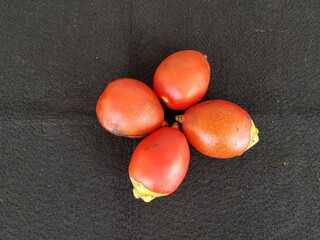 Fruits of Cyrtostachys renda, also known by the common names red sealing wax palm and lipstick palm...