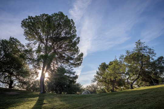 Morning at the park