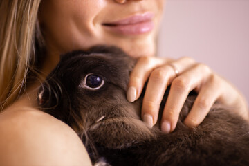 Close-up girl with adorable rabbit indoors, close up. Lovely pet and animal concept
