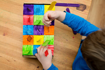 Montessori implement. Sorting by the colors. DIY at home from cardboard box and ice-cream sticks....