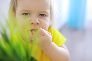 Cute little caucasian toddler girl having fun at home. Children and family happy childhood.