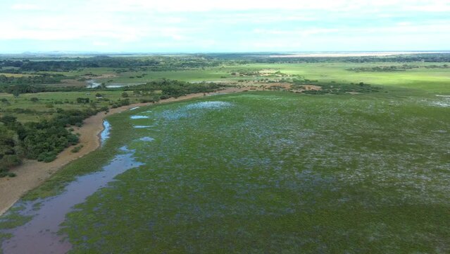 Cienaga de las Macanas