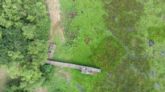 Cienaga de las Macanas