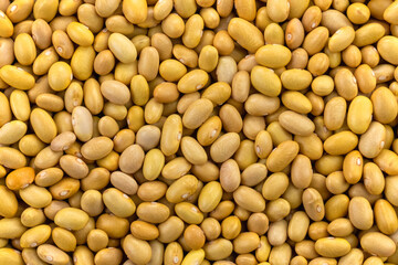 Raw peruvian (Canary) yellow beans. Uncooked peruano legumes. Food background