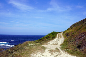 Dirt path on hill by the sea.