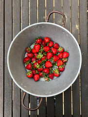 Erdbeere, Erdbeeren, eigene ernte, garten, sieb, frucht, früchte, obst, 