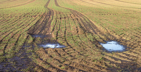 Despite modern technology, too much liquid manure is still spread on fields in Germany. As a...