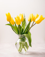 yellow tulips in a vase