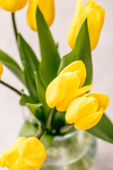 bouquet of tulips