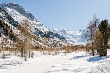 Morteratsch, Morteratschgletscher, Gletscher, Gletscherpfad, Gletscherweg, Piz Bernina, Bellavista, Bernina, Berninapass, Engadin, Alpen, Graubünden, Winter, Winterwanderweg, Langlauf, Schweiz