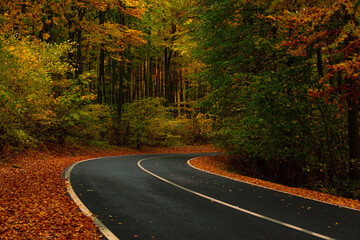 Roadway to autumn
