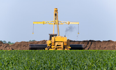 Laying gas pipelines in the field © Dusan Kostic