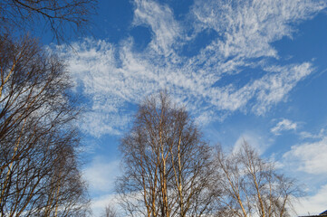 March spring sky