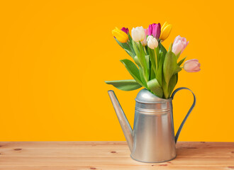 Bouquet of colorful tulips in watering can on wooden table.  Spring gardening concept.