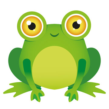 Vector image of a funny, cute green frog. Cartoon style. Children's illustration.