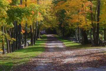 a country road in fall