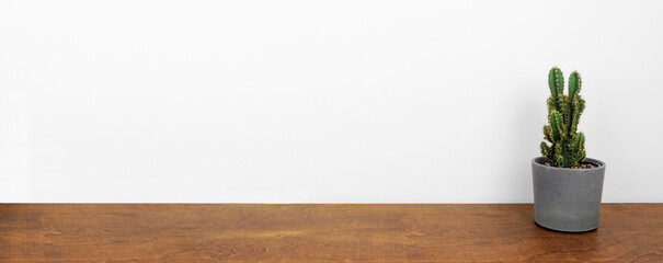 Indoor cactus plant in a cement pot. Side view on wood shelf against a white wall. Banner with copy space.