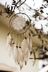 Dream catcher on a branch, native american traditional ornament