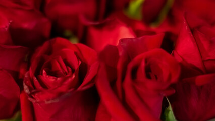 Red Roses