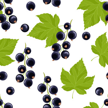 Black currant vector background. Seamless pattern with fresh berries and green leaves. Cartoon flat illustration.