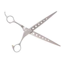 Scissors for cutting people and pets. Grooming scissors. Opened scissors on a white isolated background. Side view.
