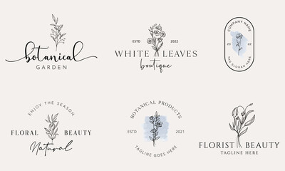 Botanical Floral element Hand Drawn Logo with Wild Flower and Leaves. Logo for spa and beauty salon, boutique, organic shop, wedding, floral designer, interior, photography, cosmetic.