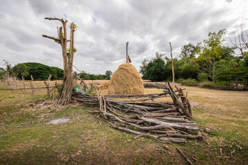 Fototapeta na wymiar straw from agriculture in the countryside outside the big city