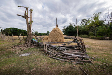 Fototapeta na wymiar straw from agriculture in the countryside outside the big city