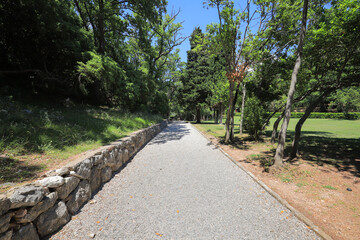 Fototapety na wymiar - Fototapeta24.pl