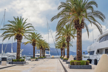 Naklejka premium Yacht Porto Montenegro. Elite marina of Tivat in Montenegro