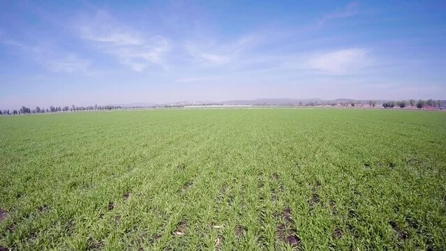 DRONE PANORAMICA CAMPO SEMBRADO QUERETARO MEXICO