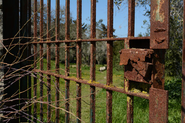 old rusty gate