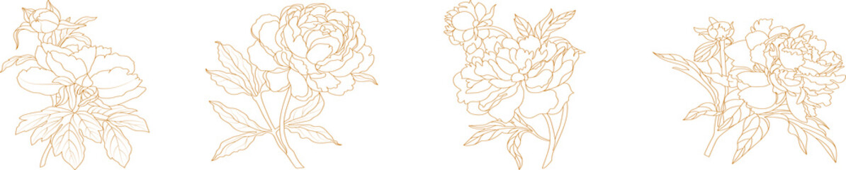 Set of graphical hand drawn golden peony flowers isolated on a white background. Vector - obrazy, fototapety, plakaty