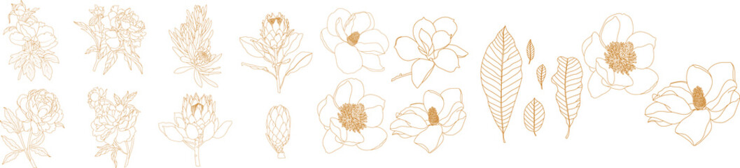 Set of graphical golden hand drawn flowers peony, daisy, magnolia. Vector. © mirskaya